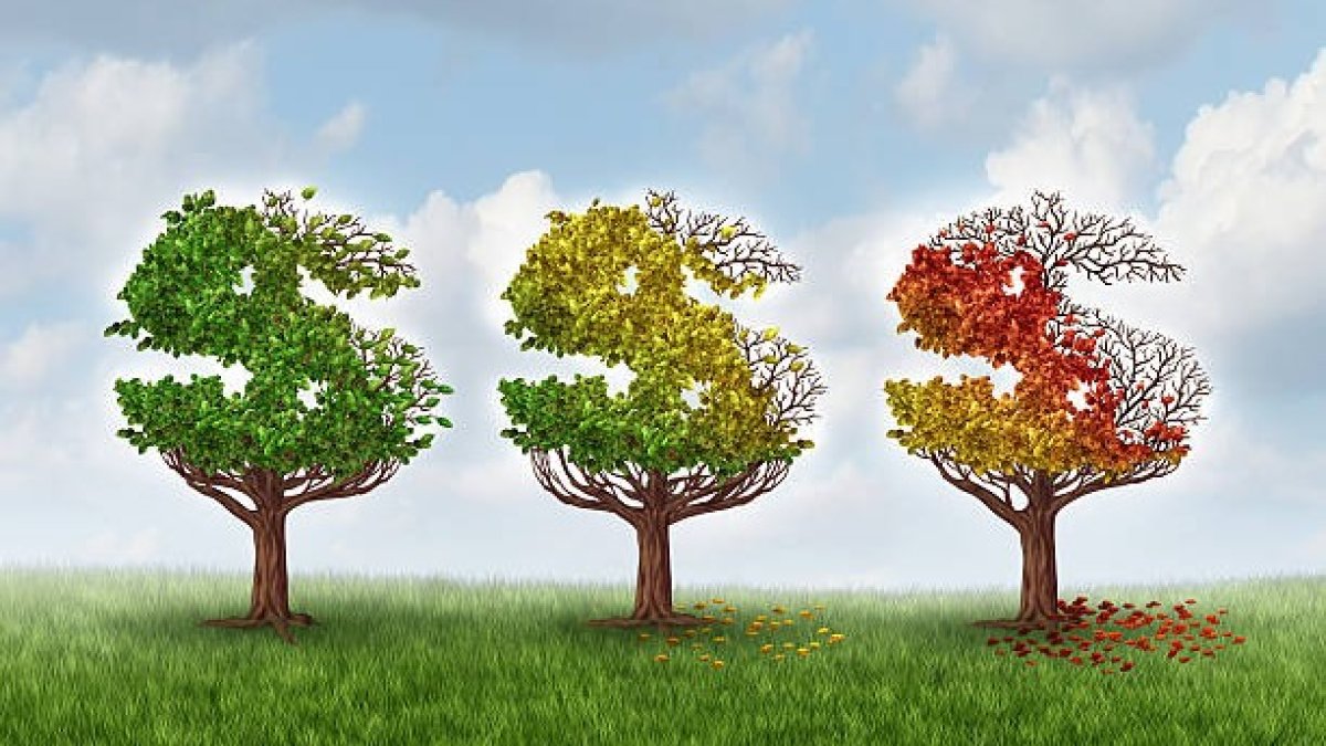 İktisat, iklim ve siyaset