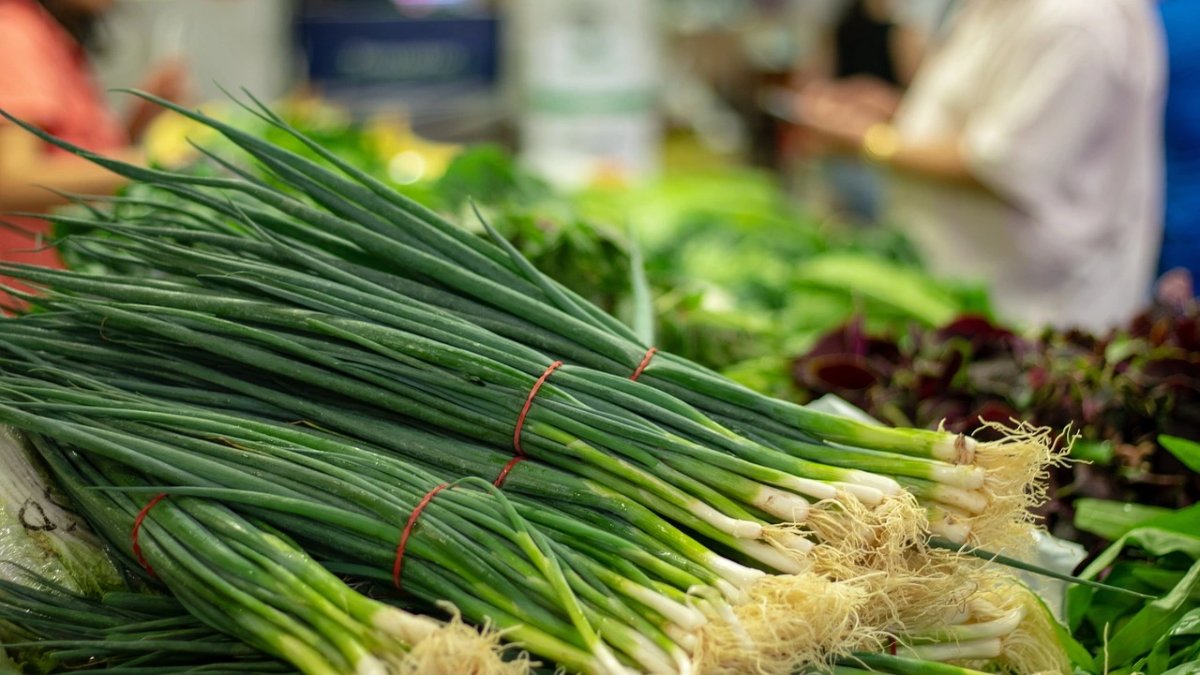 Kimse kokusuna aldırış etmeyecek! Her gün tüketen faydalarına şok oluyor! İşte taze soğanın bilinmeyen faydaları…
