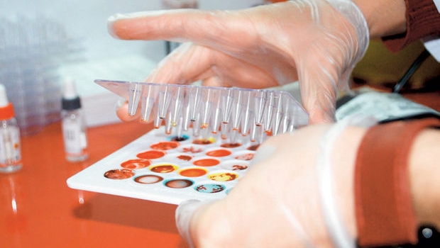 Sağlık Bakanlığı'ndan domuz gribi açıklaması