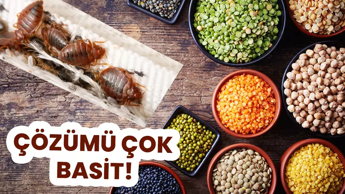 Mutfağınızda kriz çıkmasın! Bakliyatları yazın korumanın en etkili yolları... Meğer çözümü çok basitmiş