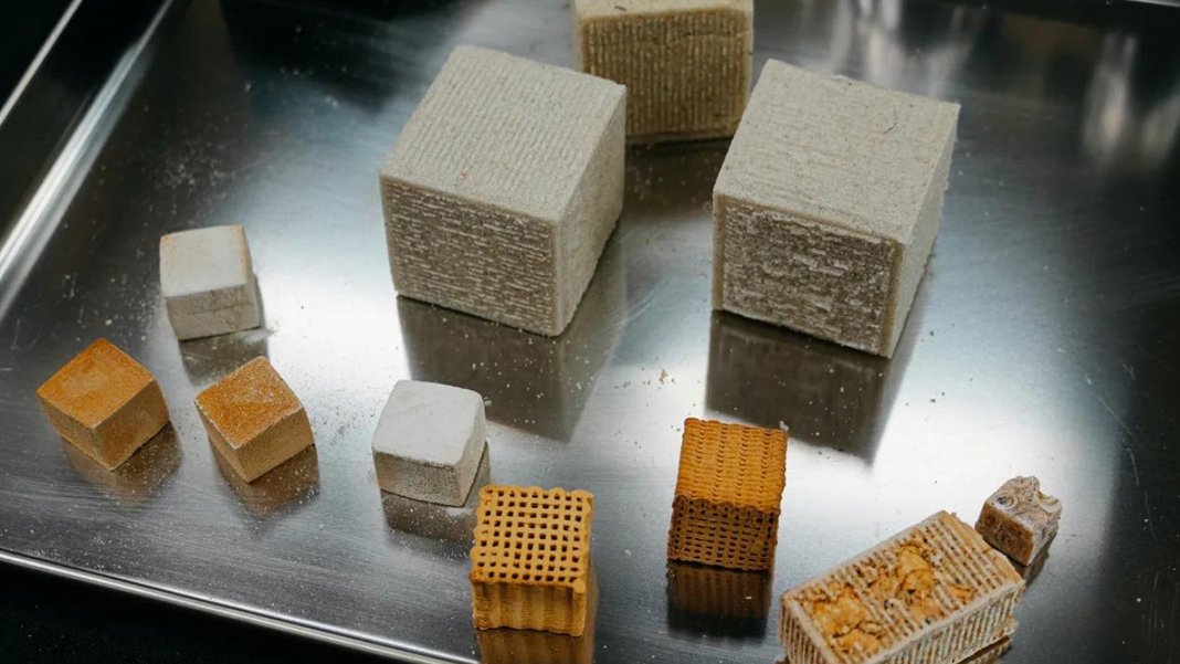 Peş peşe gelen depremlerin ardından heyecanlandıran gelişme: Çimento yerine mantar tuğlalar geliyor