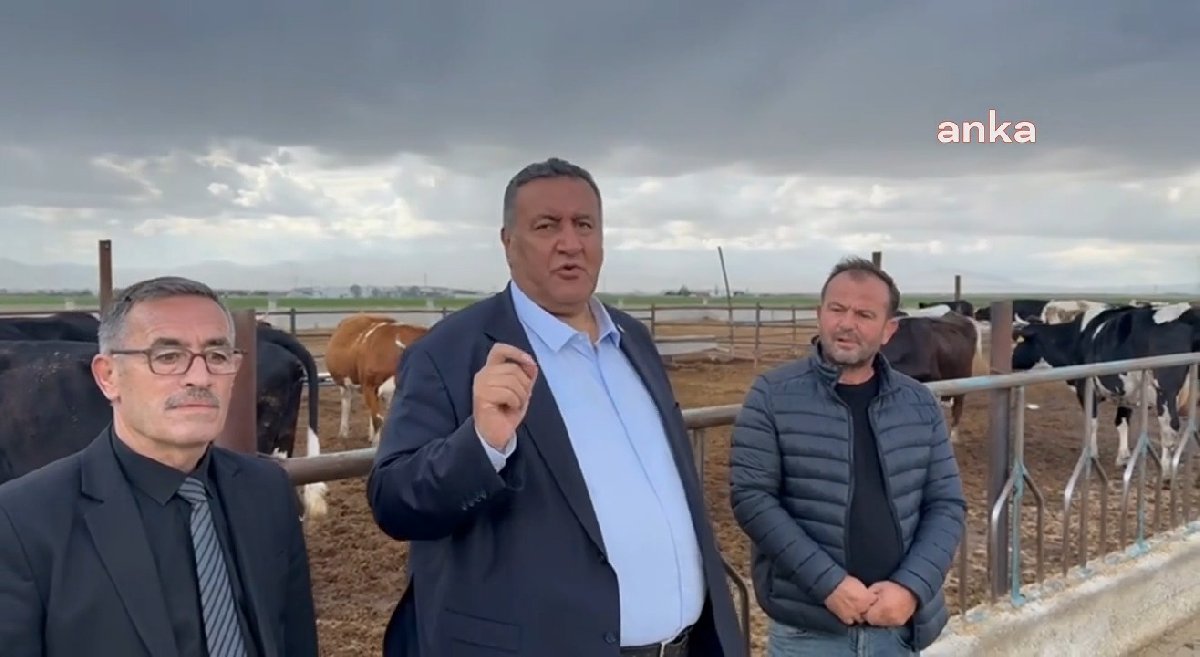 CHP’li Gürer: "Fransa bizden az inekle daha fazla süt üretiyor!" dedi, sebepleri sıraladı…