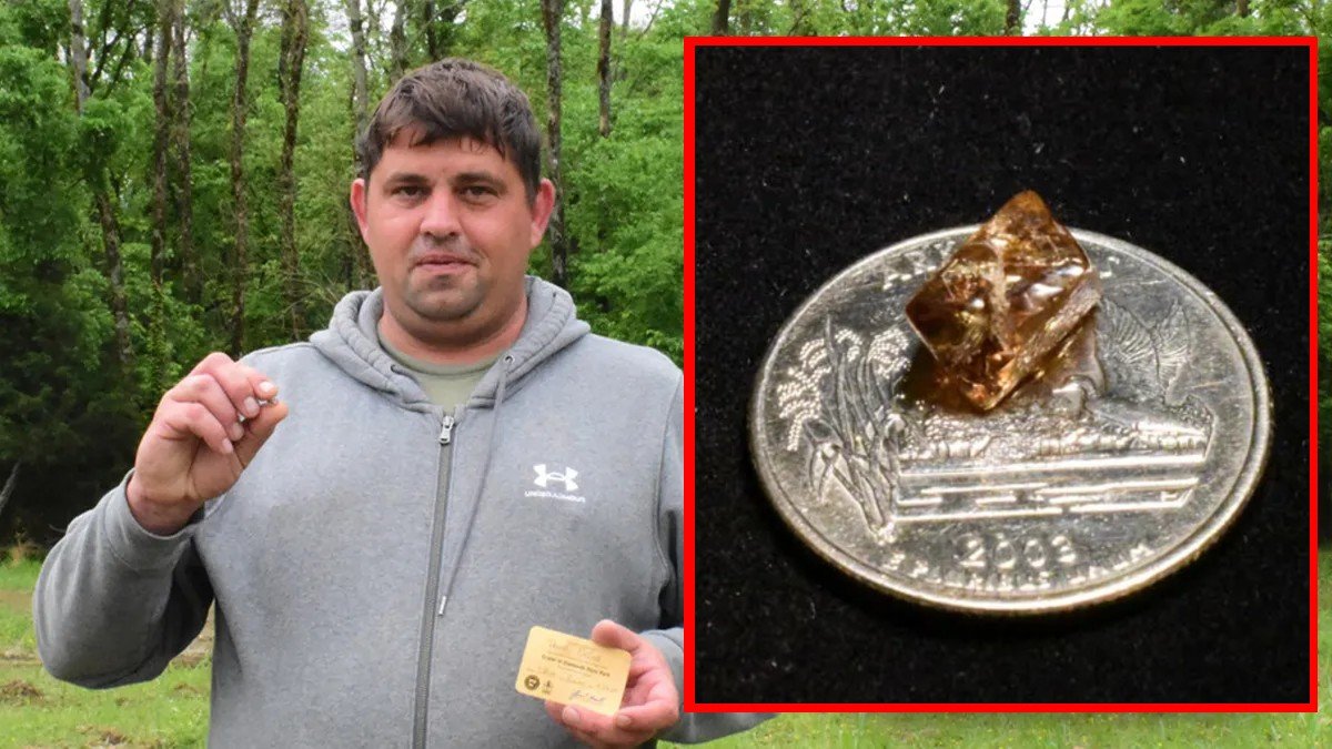 Parkta yürüyüş yaparken bir anda servet sahibi oldu! Çöp sandığı şey 733 bin liralık değere sahip