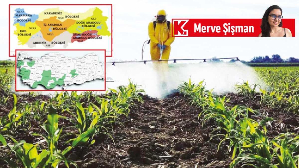 Uzmanlardan ‘pestisit tehlikesi iç pazarda’ uyarısı: Biz ne yiyoruz?