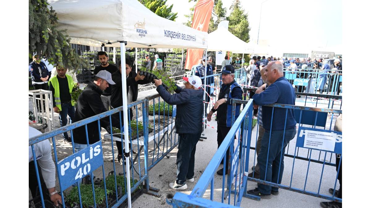 Kırşehir Belediyesi, ücretsiz fide dağıtımına başladı