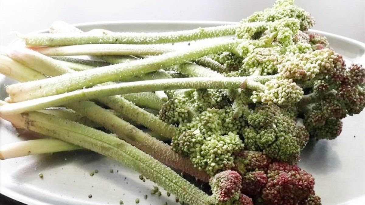 Sofraların yeni gözdesi: Doğu Anadolu'da yetişiyor, kanser hücrelerinin büyümesini engelliyor, diyabete iyi geliyor!