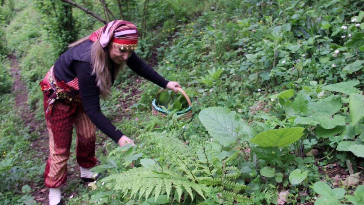 Şifa deposu ot tezgâhlarda yerini aldı: Giresun’dan gurbetçilere kadar uzanıyor
