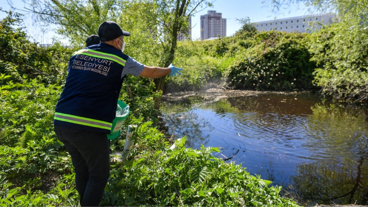Esenyurt’ta haşerelere geçit yok: Larva mücadelesi başladı