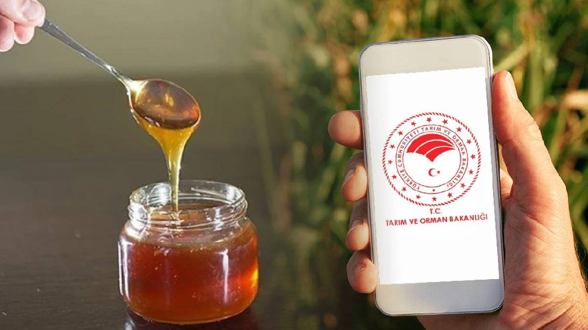 Bakanlık gıda terörüne geçit vermiyor! Bal diye şeker satmışlar: Sağlıkla oynayan 10 marka tek tek açıklandı!