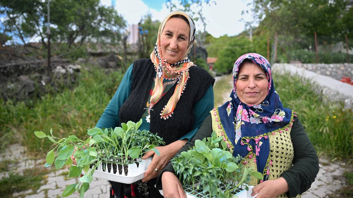 Belediyeden üreticiye destek: 400 bin yazlık sebze fidesinin dağıtımına başlandı