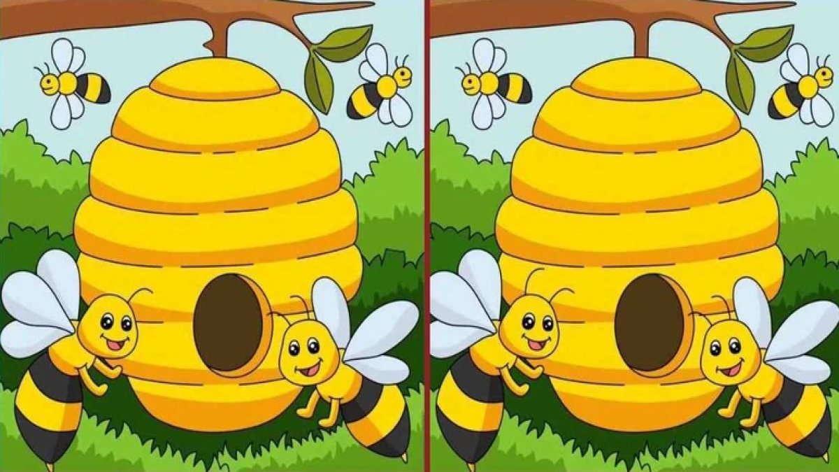 Bu zeka testi yalnızca yüksek IQ’lu olanları 14 saniye oyalayabiliyor! İki resim arasındaki 3 farkı bulabilir misiniz?