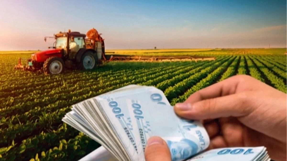 Çiftçiye hasat sonrası dev destek! Müjdeli haber duyuruldu: Yüzde 50’sini devlet karşılayacak