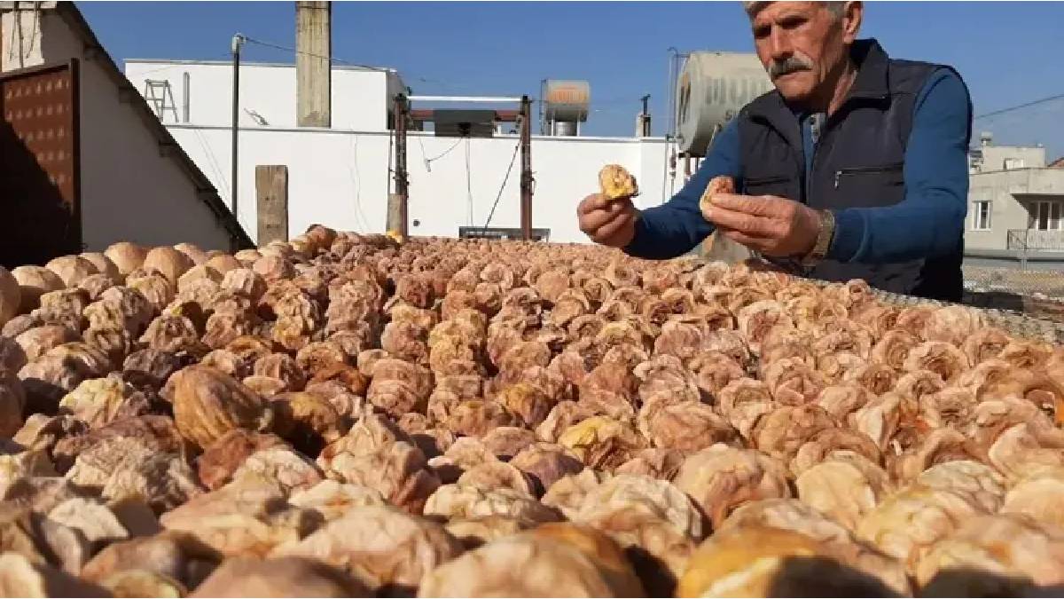Adanalı girişimci yaptı, olmaz denilen oldu! Komşularına iş verdi, üretim 5 tona çıktı: Açık hava fabrikası arı gibi işliyor