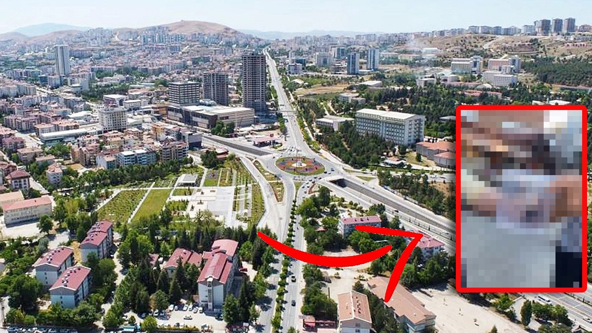 Elazığ’da görüldü herkes büyük panik yaşadı! Uzmanlar açıkladı: Et yiyor…