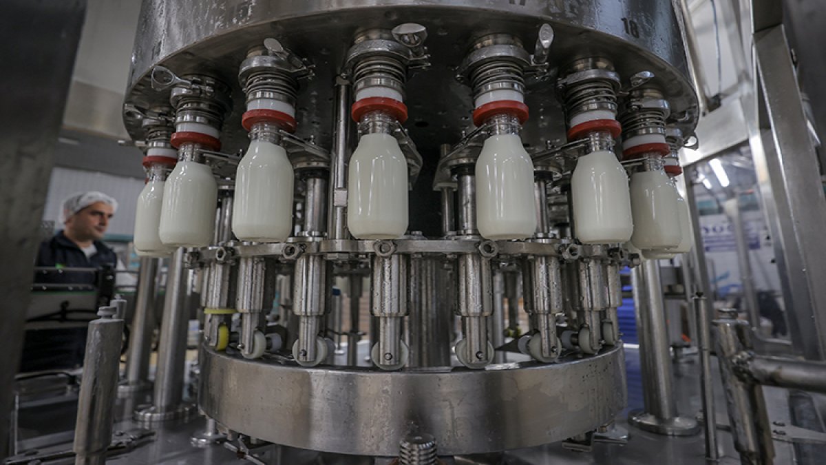 Süt sektöründe büyük deprem! Dev markalara soruşturma açıldı