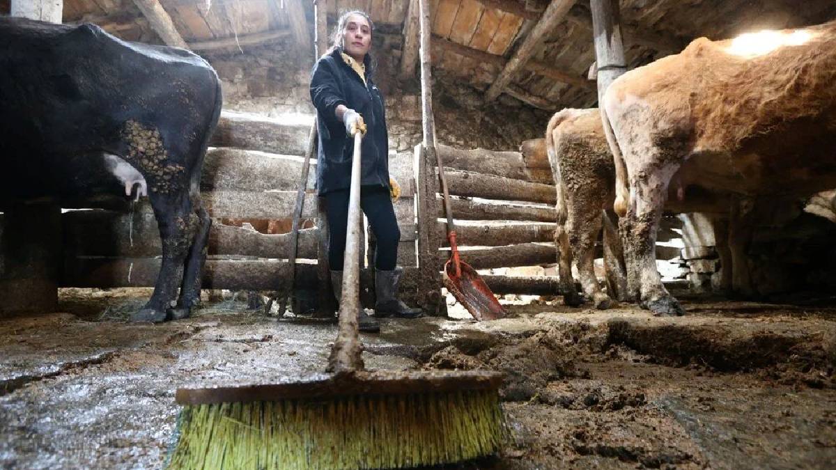 Devlet destekledi o iş sahibi oldu! 25 yaşında kendi tesisini kurdu: Sayılarını 3 yılda artırmayı başardı