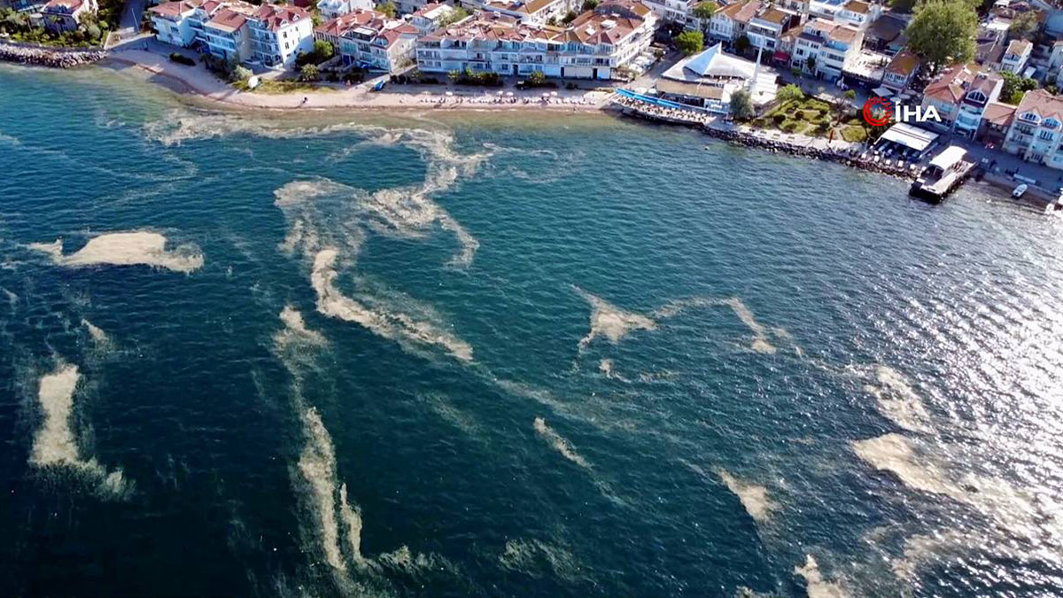 Kabus geri döndü: Bir anda beyaz tabakayla kaplandı! Çevre kirliliği had safhada