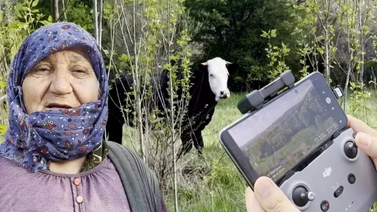 "Kezban Teyze"nin kaybolan düvesi dronla bulundu