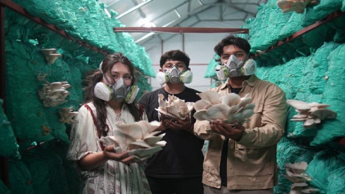 88 saatte eğitim veriliyor, öğrenen çokça kazanılıyor! Kazanmak isteyen hemen başvuracak