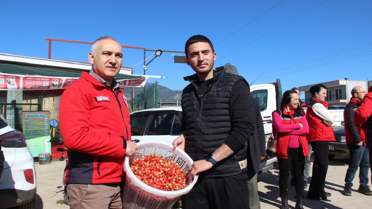 İlk hasadı yapıldı fiyatı dudak uçuklattı! Kilosu 3. 500 TL’den Ankara ve İstanbul’a gönderiliyor! Sadece zenginler alacak