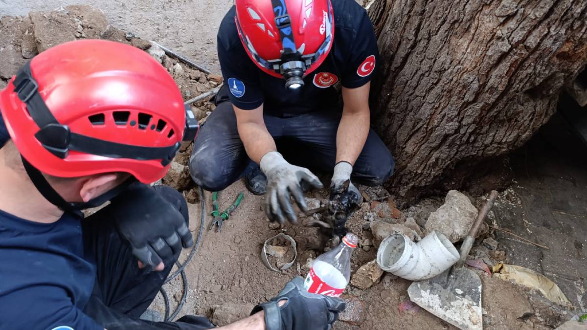 İzmir İtfaiyesi havalandırma bacasına sıkışan kediyi kurtardı
