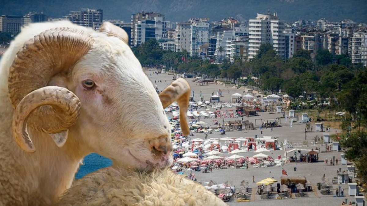 Kurban Bayramı tatili ne kadar olacak? 9 güne çıkarılması talep edildi