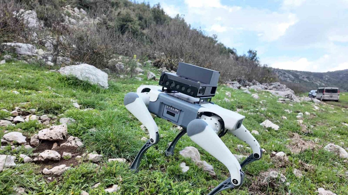 Yerli robotik köpek AyBARS tanıtıldı! Her türlü arazinin üstesinden geliyor: Hem mağarada hem de şehirde