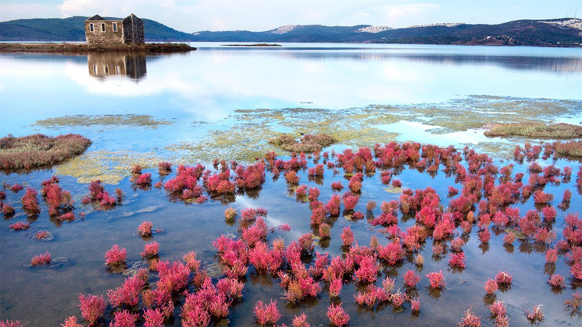 Ege’nin Tuz Gölü rant uğruna yok oluyor