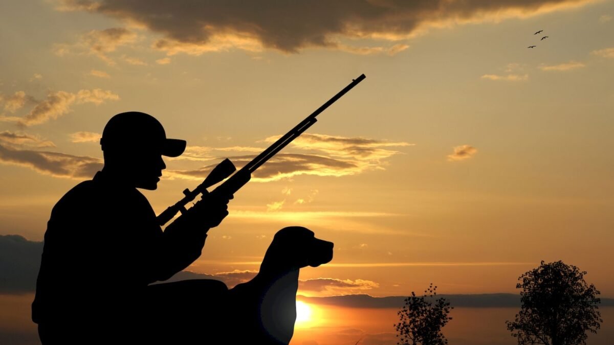 Ava giderken avlandılar! o hayvanı avladıklarına pişman oldular: 687 bin TL ceza yediler