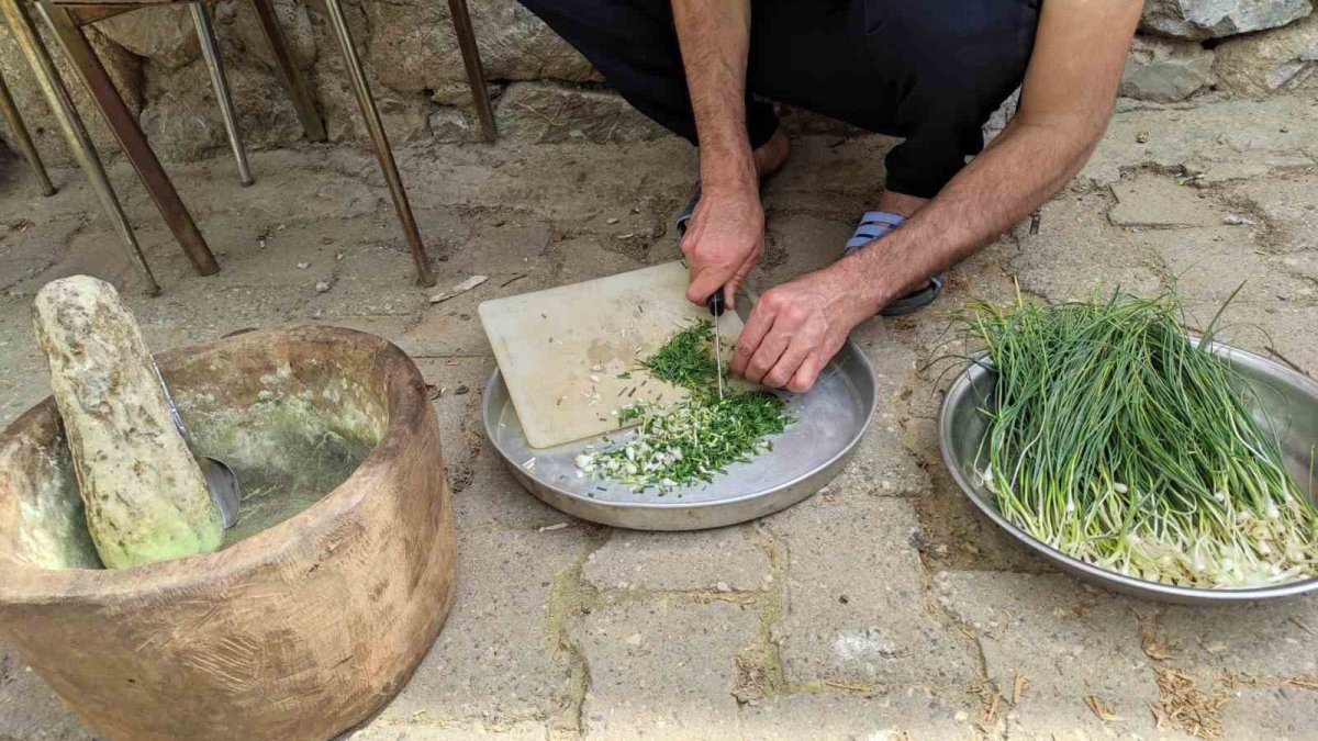 Dağlarda altın değerinde ot! Kendi kendine yetişiyor: Kilosu 10 bin TL’ye satılıyor!