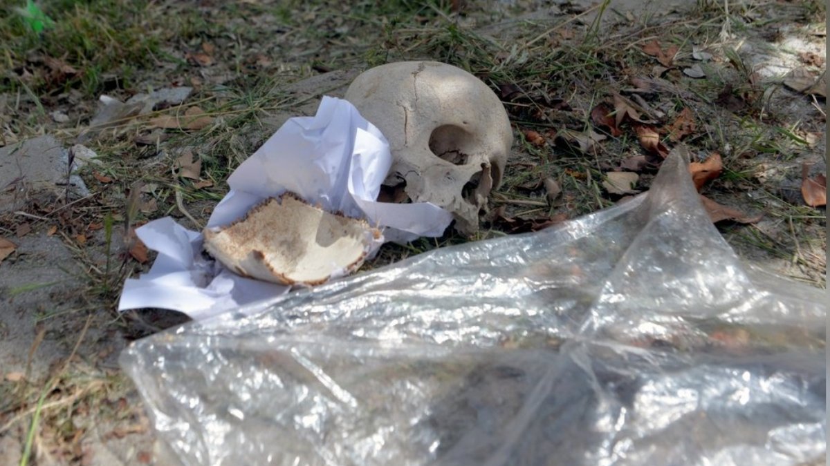 Adana’da çöp konteynerinde kafatası bulundu