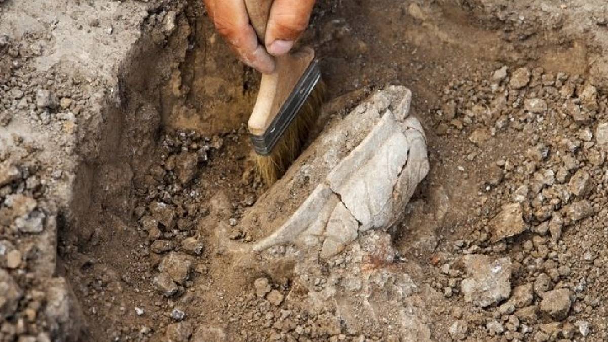 İzmir'deki bahçeden iki bin yıllık mezar taşları çıktı