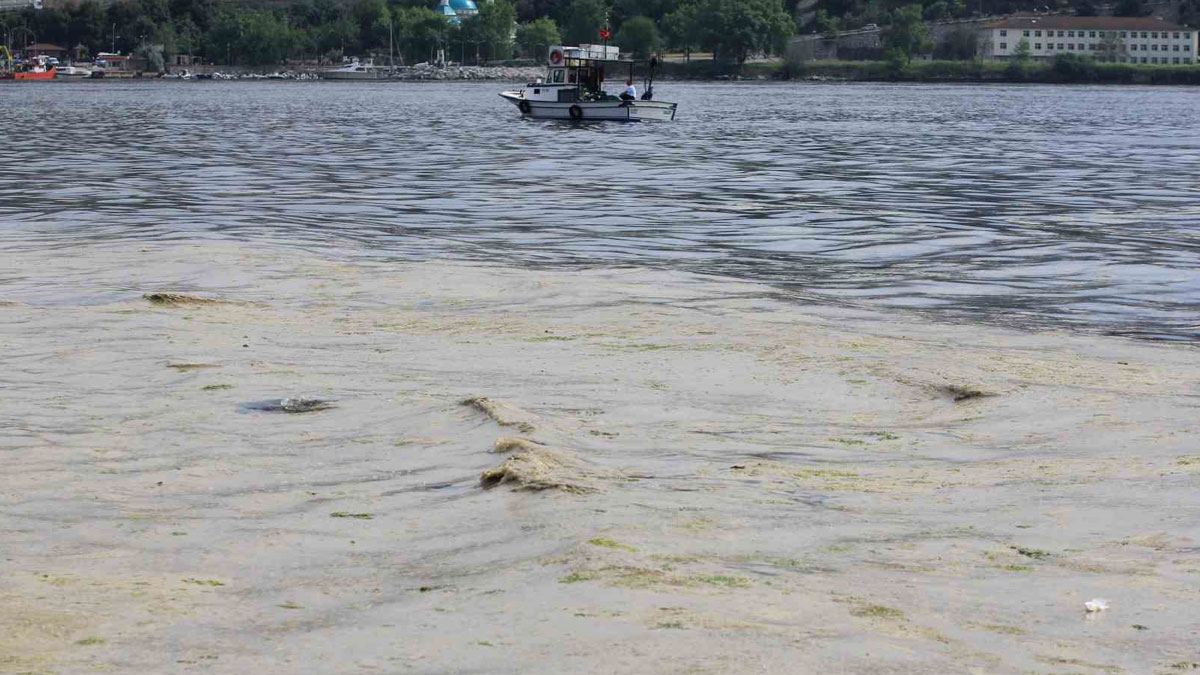 Müsilaj kabusu geri döndü: Deniz yaşamı tamamen yok olabilir