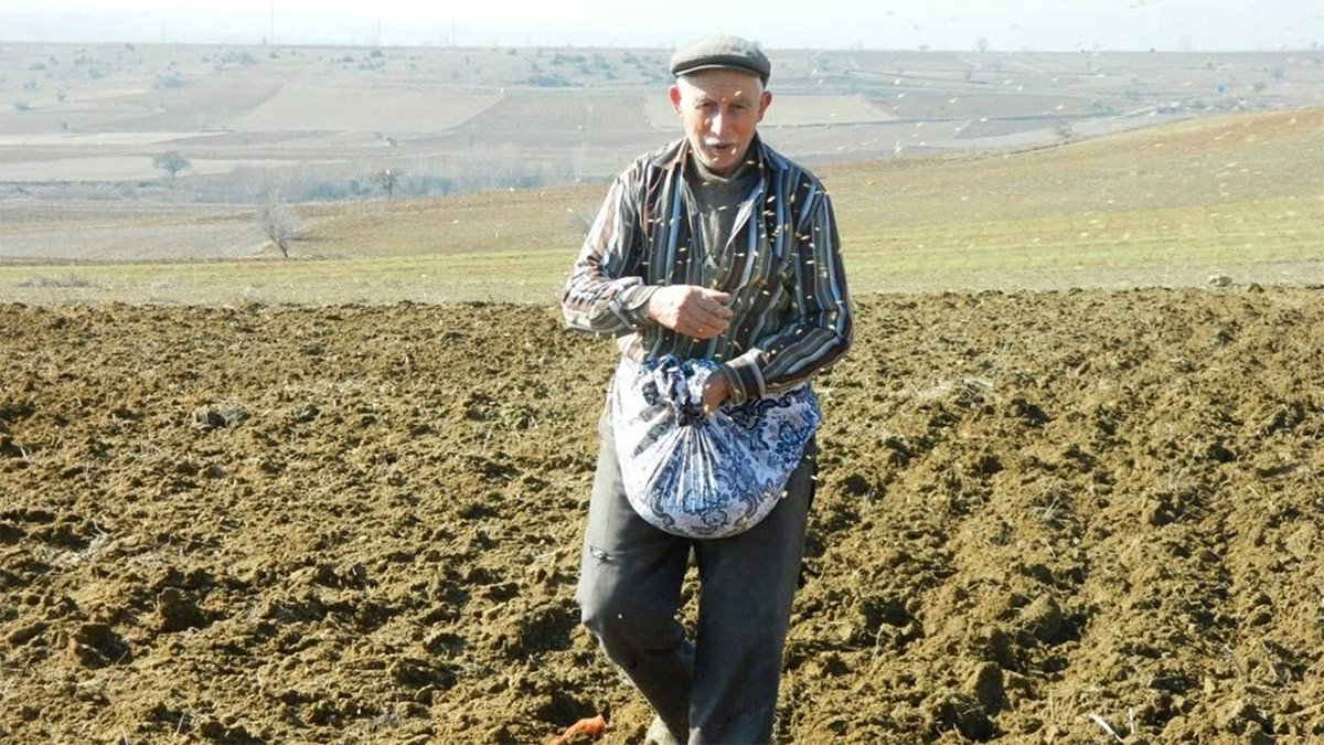 Tarım bitti sayım geldi