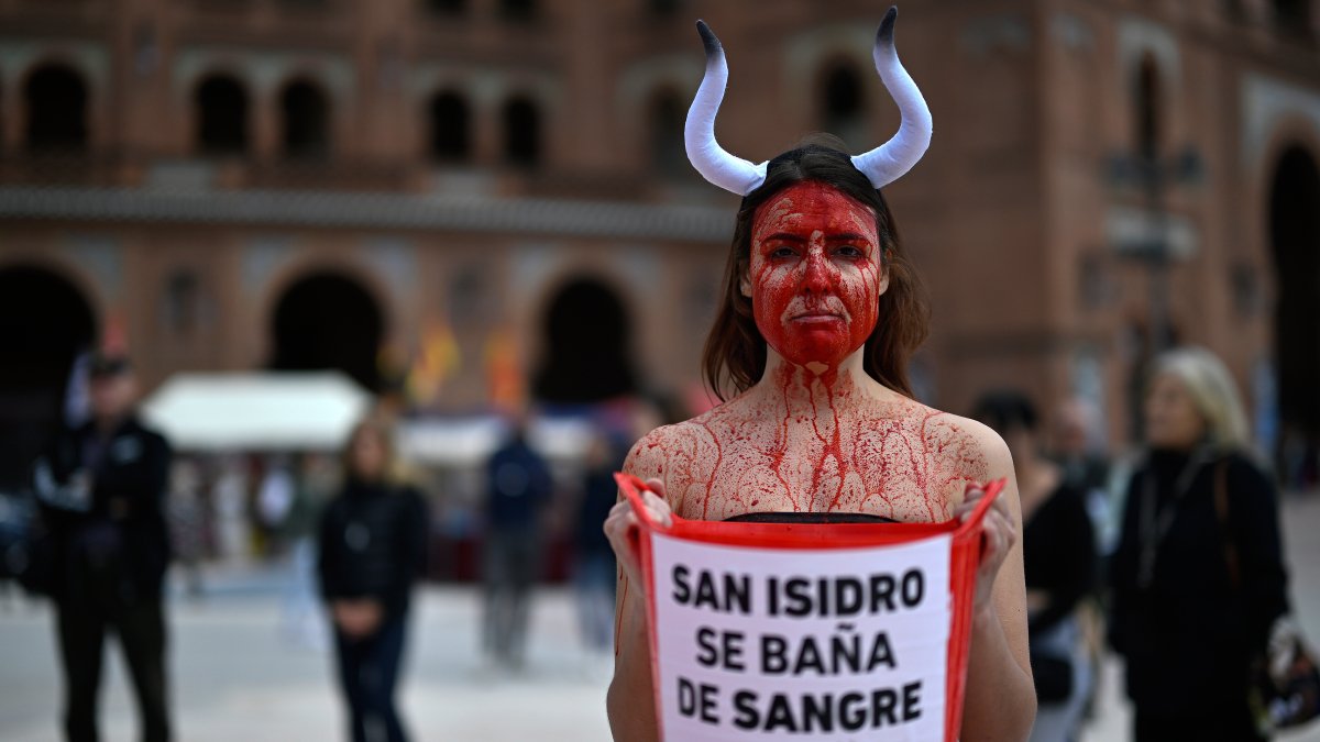 İspanya'da boğa güreşleri protesto edildi: Zulüm yasaklansın