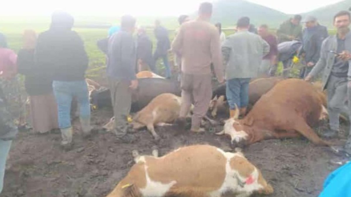 Kars’ta sağanak faciaya yol açtı: Yıldırım sürüye isabet etti, 2 çoban yaralandı, 10 hayvan telef oldu