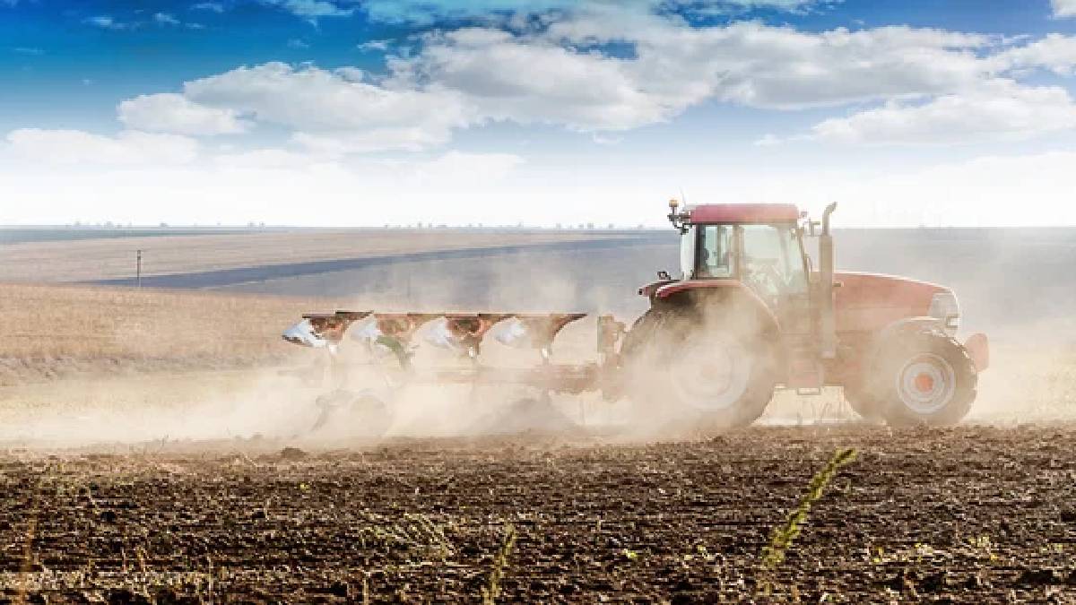 Tarımda üretici enflasyonu can yakacak: Yıllık artış yüzde 45'i aştı, sebze fiyatları rekora koşuyor