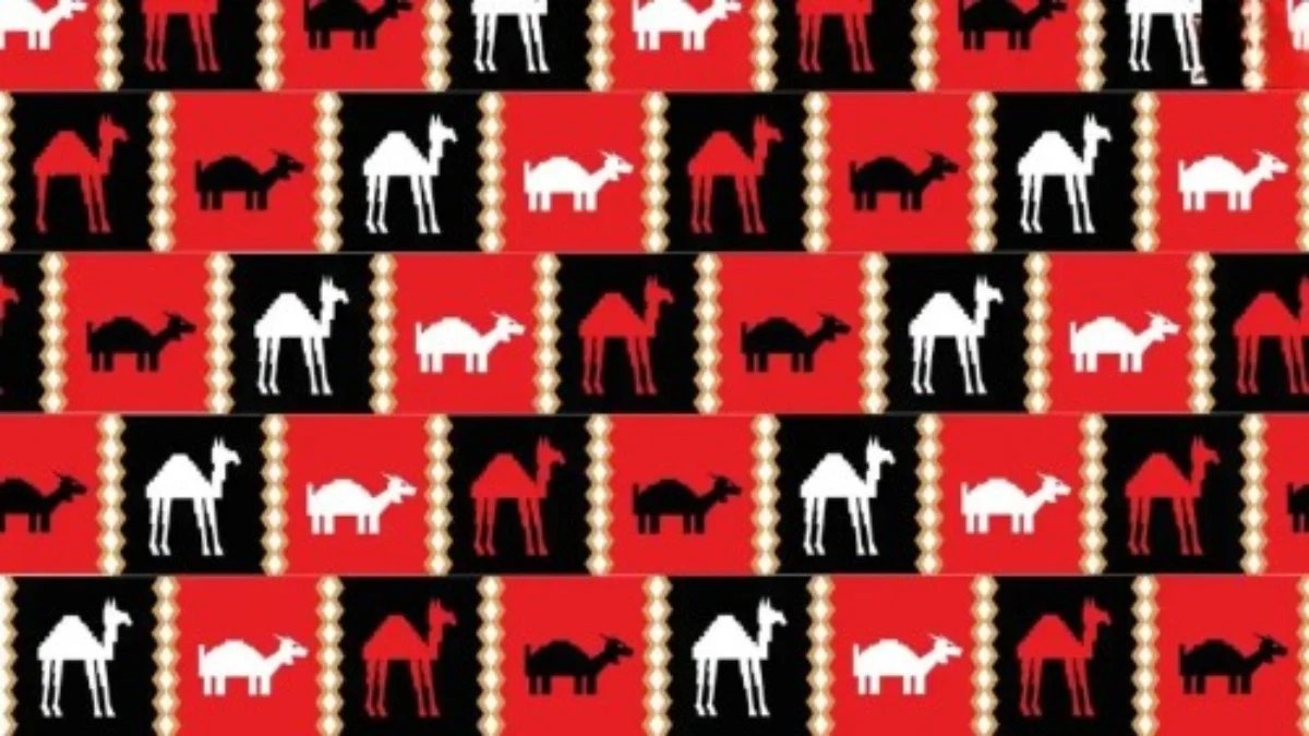 IQ'nuza meydan okuyun: 7 saniyede 3 ayaklı deveyi bulan Einstein’e meydan okur