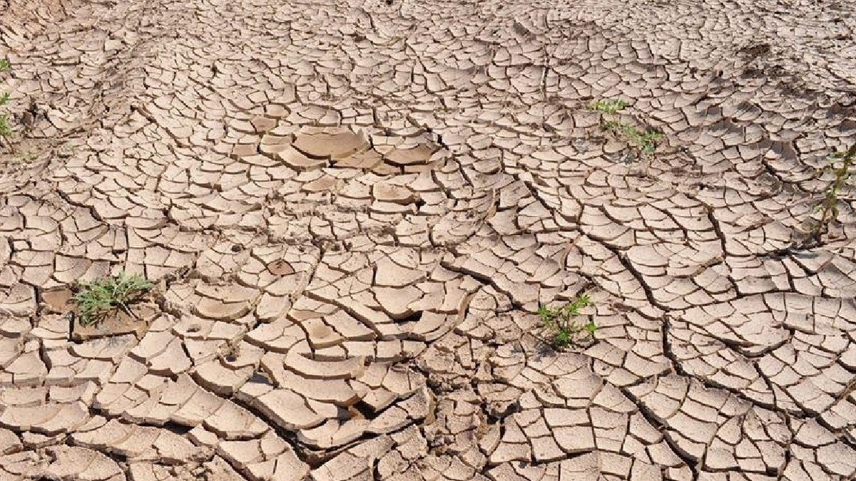 BM: İklim değişikliği 80 milyon kişiyi aç bırakacak