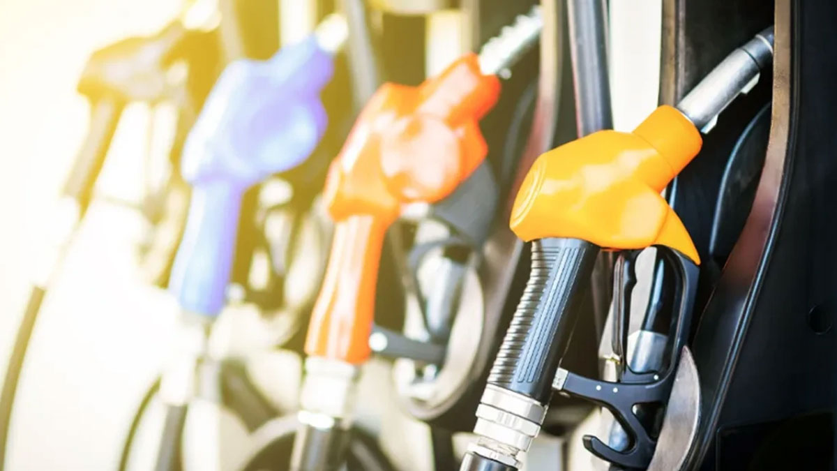 Son Dakika Güncel Enerji Haberleri - Karar - KARAR