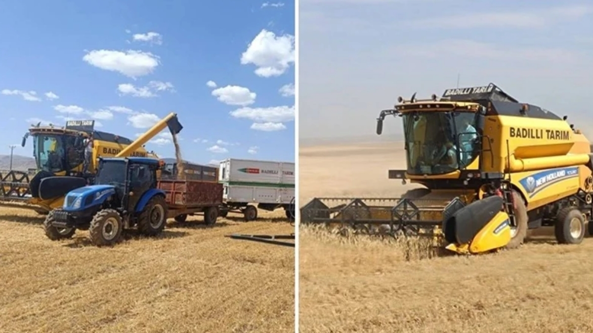 İlk hasat başladı, çiftçinin yüzü güldü! Tonlarca üretiliyor, 12 bin liraya satılıyor: Bu yıl rekor kırılacak