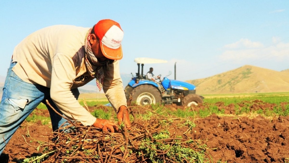 Çiftçiye dev hizmet başladı! Herkes bu dağıtımı konuşuyor, detayları araştırıyor: Tam 1 milyon 850 bin tane dağıtıldı
