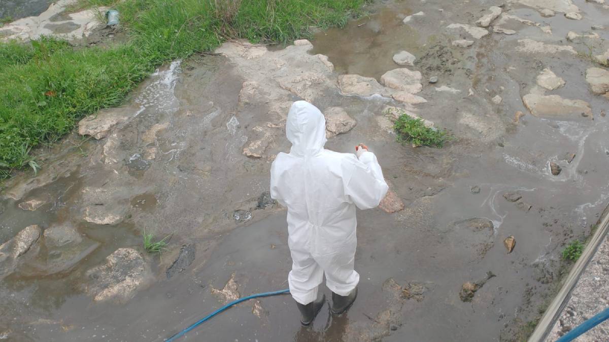 Sağlıklı bir yaz mevsimi için ilaçlama yapılıyor