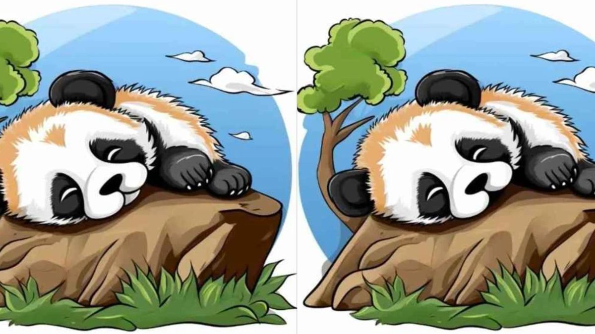 Dikkatinizi Test Ediyoruz: 3 Farkı 10 Saniyede Bulabilenler Zekâlarını Konuşturuyor!