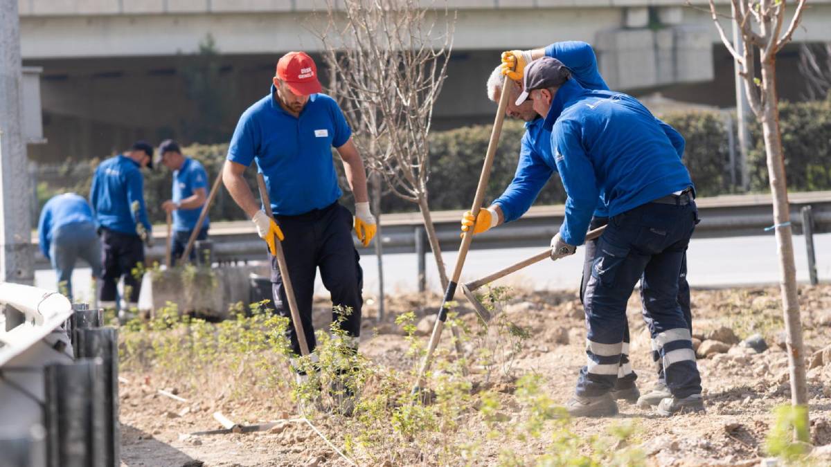Büyükşehir’den karayolu kavşaklarında ağaçlandırma seferberliği