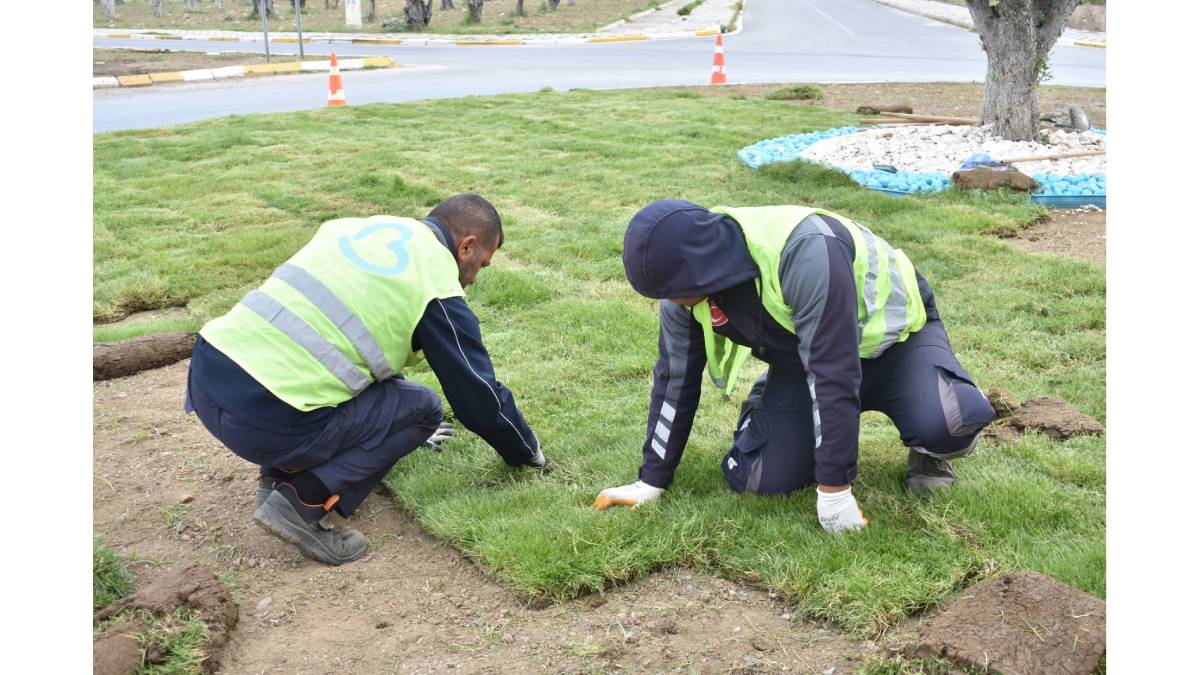 Çevreci ve ekonomik hamle! Balıkesir’de belediye kendi çimini üretiyor