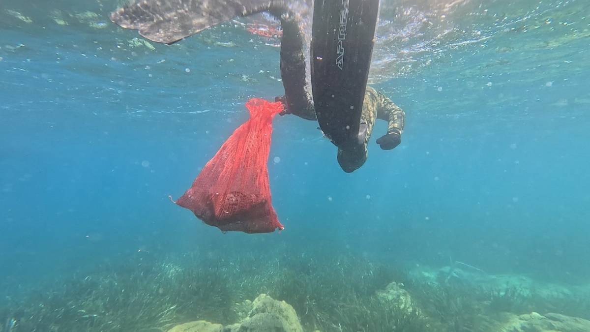 Geleneksel deniz dibi temizliği başladı
