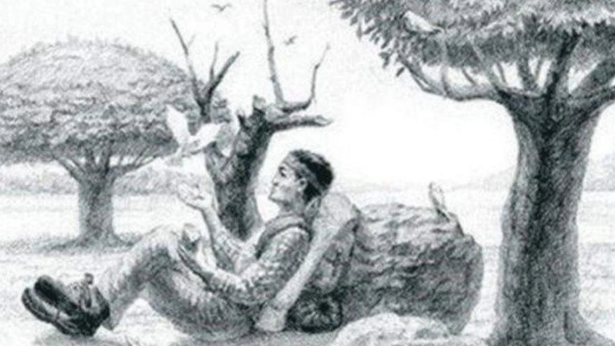 Beyin oyunları sevenlere: Bu sakin resimdeki atı kimler fark edebilecek?