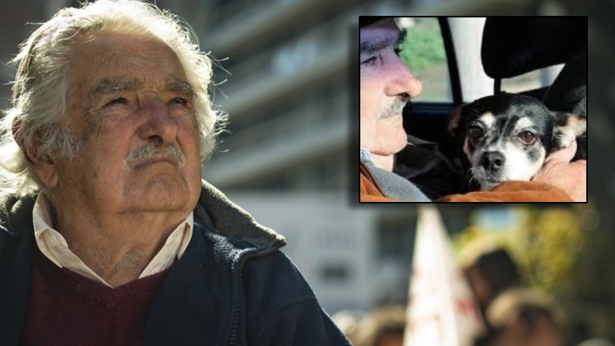 Uruguay’ın eski lideri Mujica’nın vasiyetiydi… Çiftliğinde sadık köpeği Manuela'nın yanına defnedildi