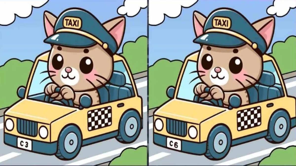 Yalnızca gerçek zekâ ustaları 12 saniyede bu 3 farkı görebiliyor